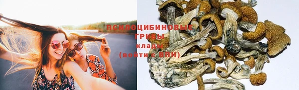 трава Абинск