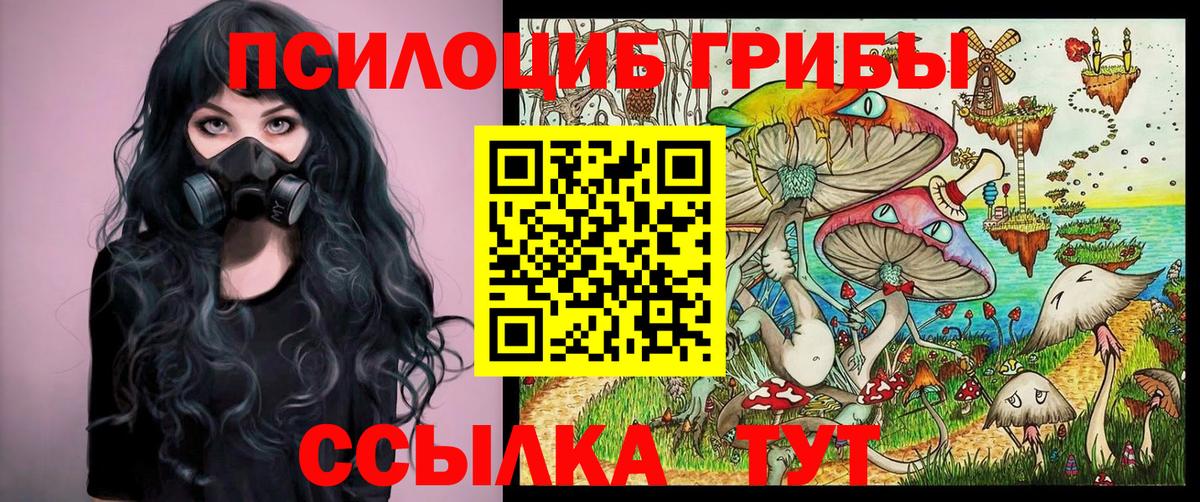 Псилоцибиновые грибы мицелий Усть-Кут