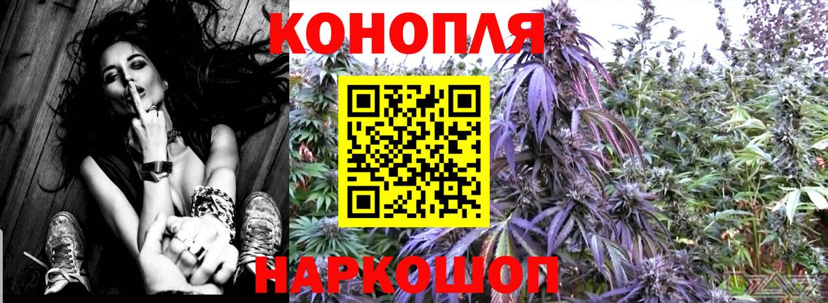 Бошки Шишки тримм  Вход с VPN  Усть-Кут  Каннабис THC 21%  Марихуана план 